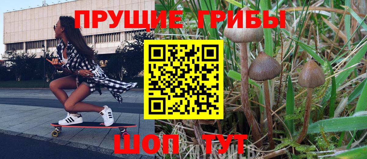 Псилоцибиновые грибы мухоморы Ачхой-Мартан