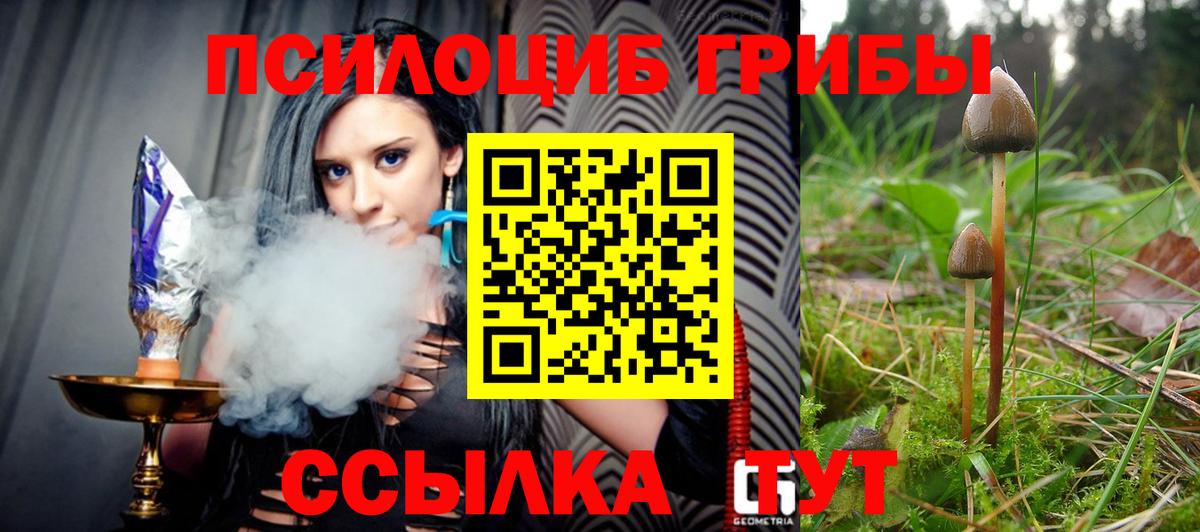 Псилоцибиновые грибы MAGIC MUSHROOMS  Вход с VPN  Ачхой-Мартан 