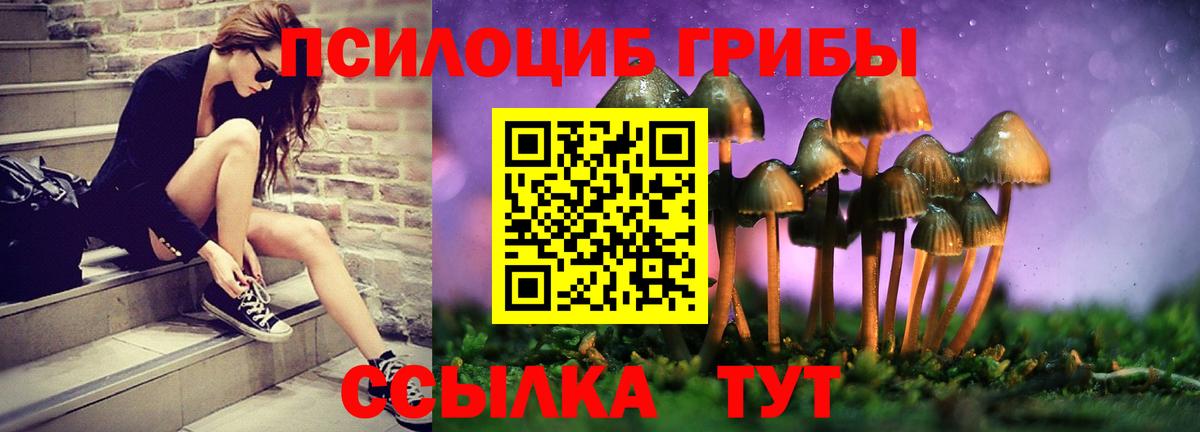 Галлюциногенные грибы Psilocybine cubensis Ачхой-Мартан
